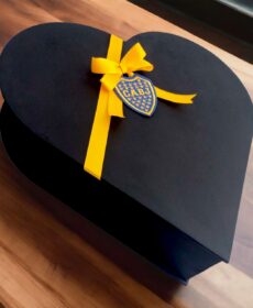 CAJA DE BOCA (28)