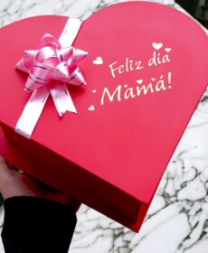 FELIZ DIA MAMA (28X9)