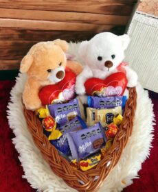 box Peluche de oso y marron