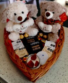 box Peluche de perro blanco