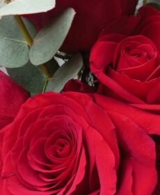 Bouquet de Rosas